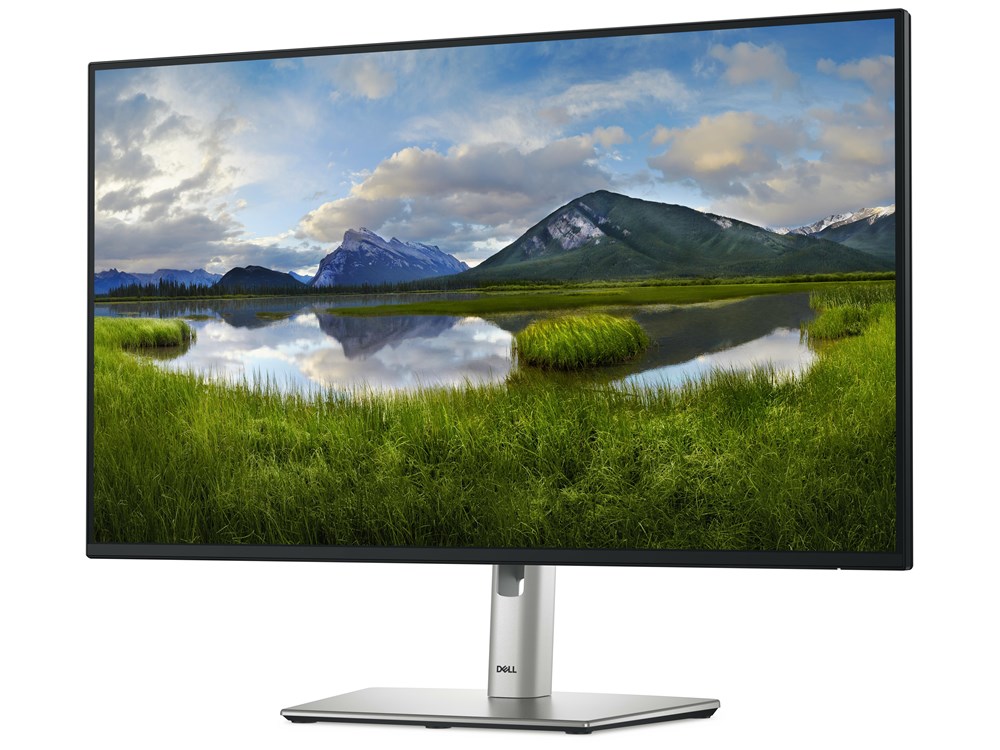 DELL P2725H - 27 inch